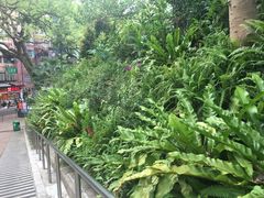 -九龙公园