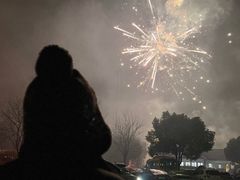 -顾村公园3号门停车场