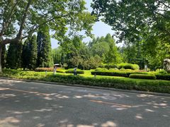 -棒棰岛宾馆景区