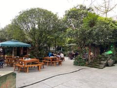 -青城甲(青城山店)