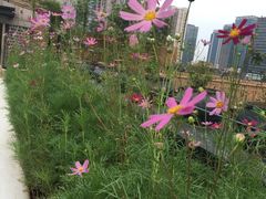 -瓦库茶馆17号(海汇港店)