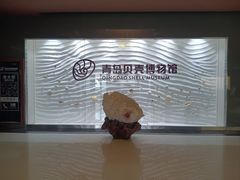 -青岛贝壳博物馆