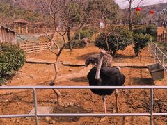 -无锡动物园·太湖欢乐园