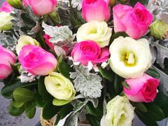 -双季花艺园艺市场(浦东店)
