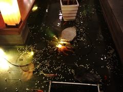 -松子料理(亮马桥店)