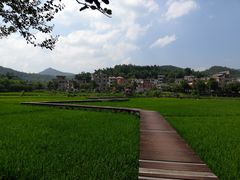 -红山村
