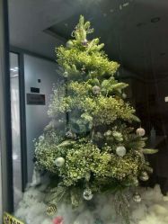 -艾薇芭蕾艺术中心