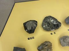 -湖南省地质博物馆