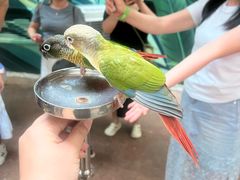-正佳雨林生态植物园