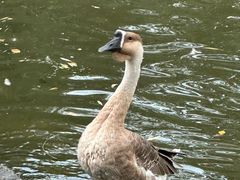 -北语时光西餐厅