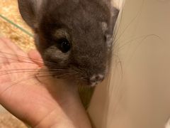 -龙猫仔乐园(惠福东路店)