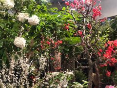 -双季花艺园艺市场(浦东店)