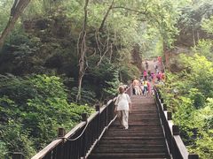 -天女山森林公园