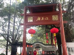 -侨美·唐荔园·40年地道粤菜