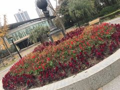 -苏州河梦清园环保主题公园