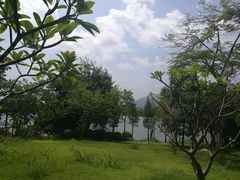 -飞来湖湿地公园
