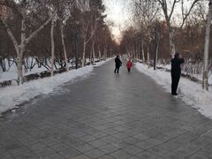 -哈尔滨文化公园