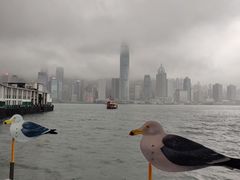 -Cupping Room(Harbour City)
