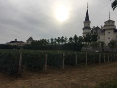 -北京张裕爱斐堡酒庄