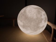 -梵几(东信·和创园店)