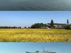 -莲花岛景区