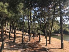 -南京市无想山景区