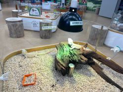 -小象动悟公园(龙湖亦庄天街店)