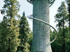 -黄海国家森林公园