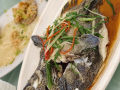 清蒸石斑鱼-众味海鲜大排档·活海鲜·潮汕味(南澳店)
