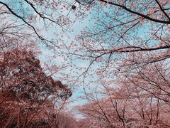 -熙盛源(滨湖万达店)