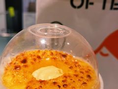 -喜茶(深圳海岸城店)