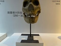 -重庆自然博物馆(新馆)