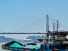 -摆渡站(董家渡站)