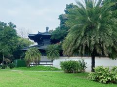 -荔湾湖公园