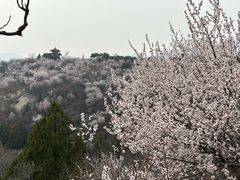 -白水寺森林公园