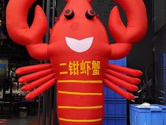 -二钳洞庭虾蟹·江湖菜(鹭岛店)