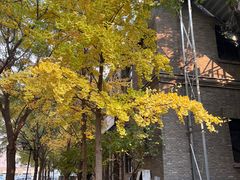 -绿地·中山里