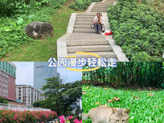 -东风公园