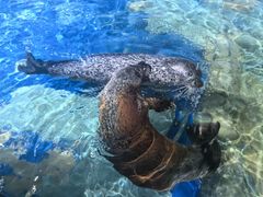 -太平洋海底世界