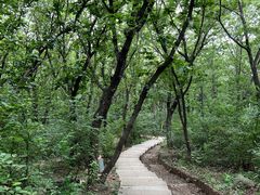 -沈阳辉山风景区