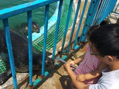 -北戴河圣蓝海洋公园