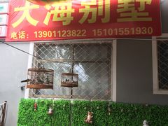 -大海别墅民宿农家院(十渡店)