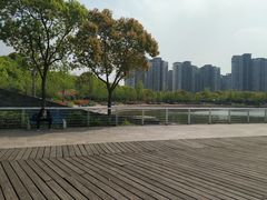 -新江湾城公园