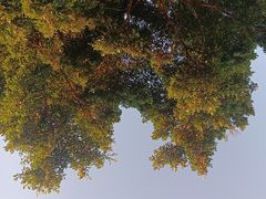 -求水山公园