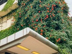 -常熟路(地铁站)