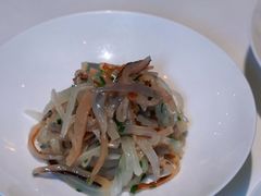 葱油萝卜丝海蜇头-西郊5号·Maggie 5