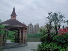 -成都南湖公园