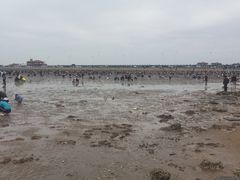 -东疆理想海岸沙滩景区