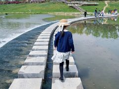 -洨河生态公园