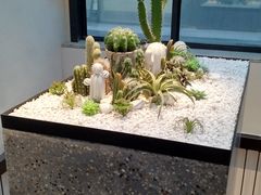 -大树餐厅(红旗街万达店)